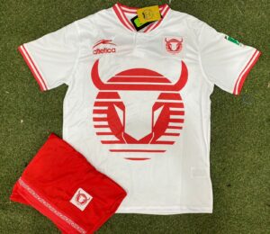 Conjunto Adulto Toros